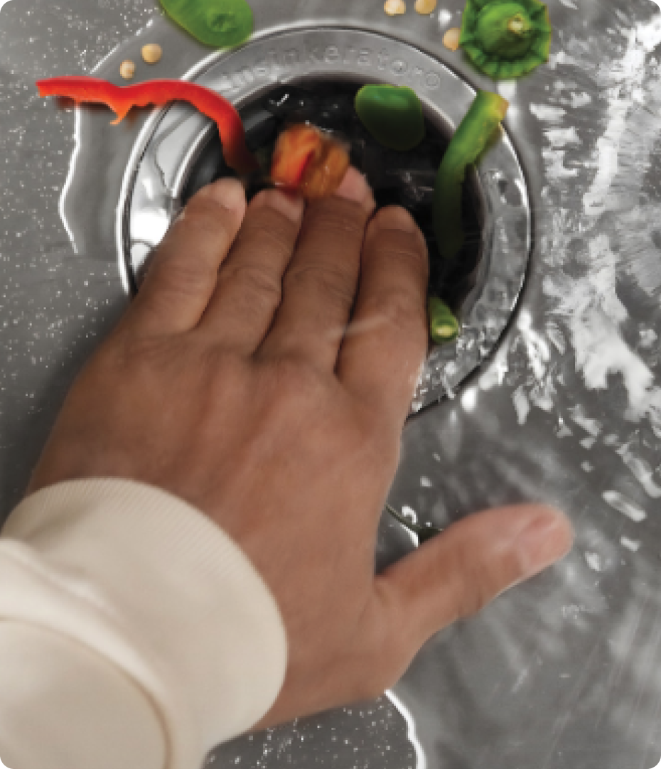 InSinkErator - Image 3