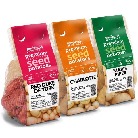 Jamieson Brothers - Image 1